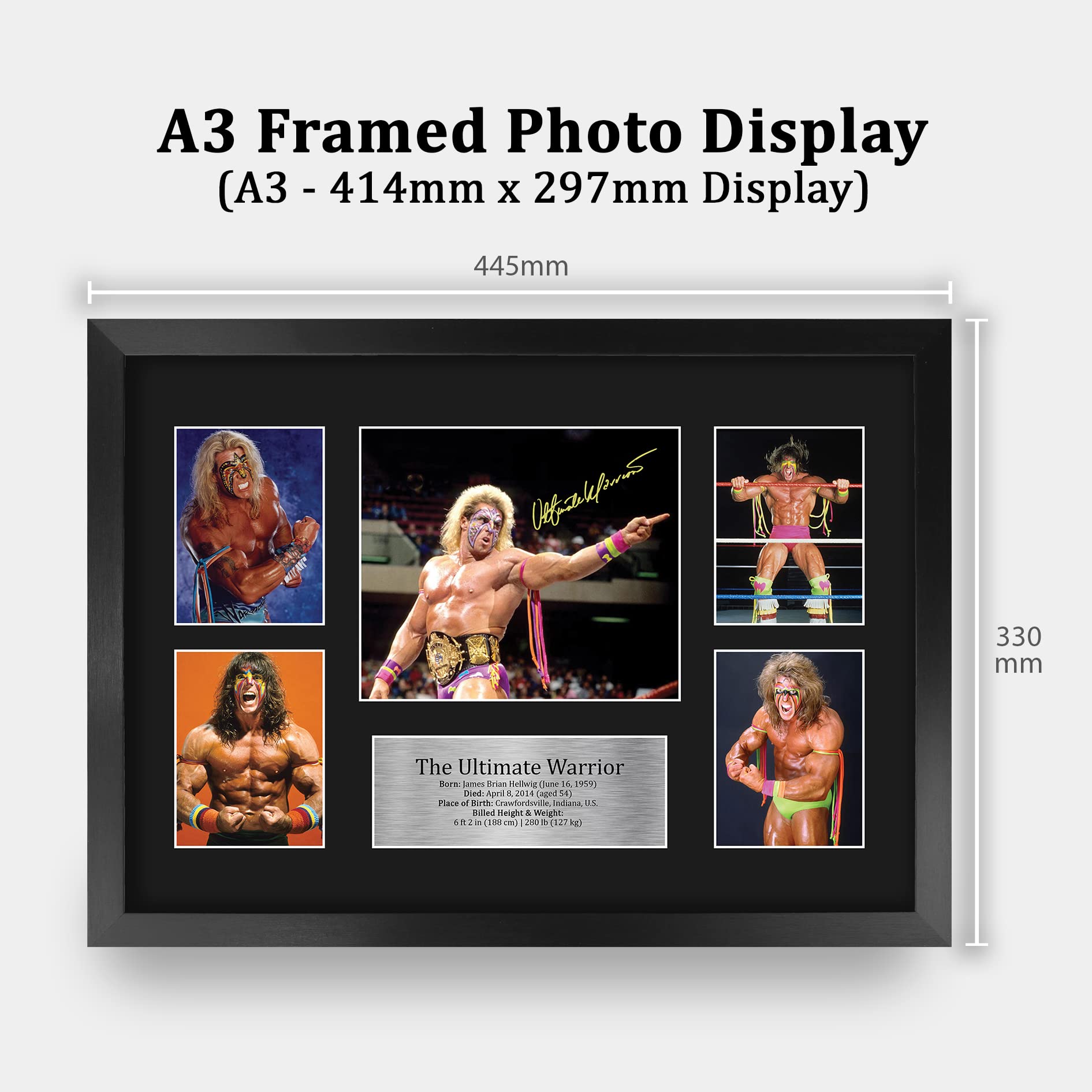 Amazon.com: HWC Trading The Ultimate Warrior Wrestling 16 x 12