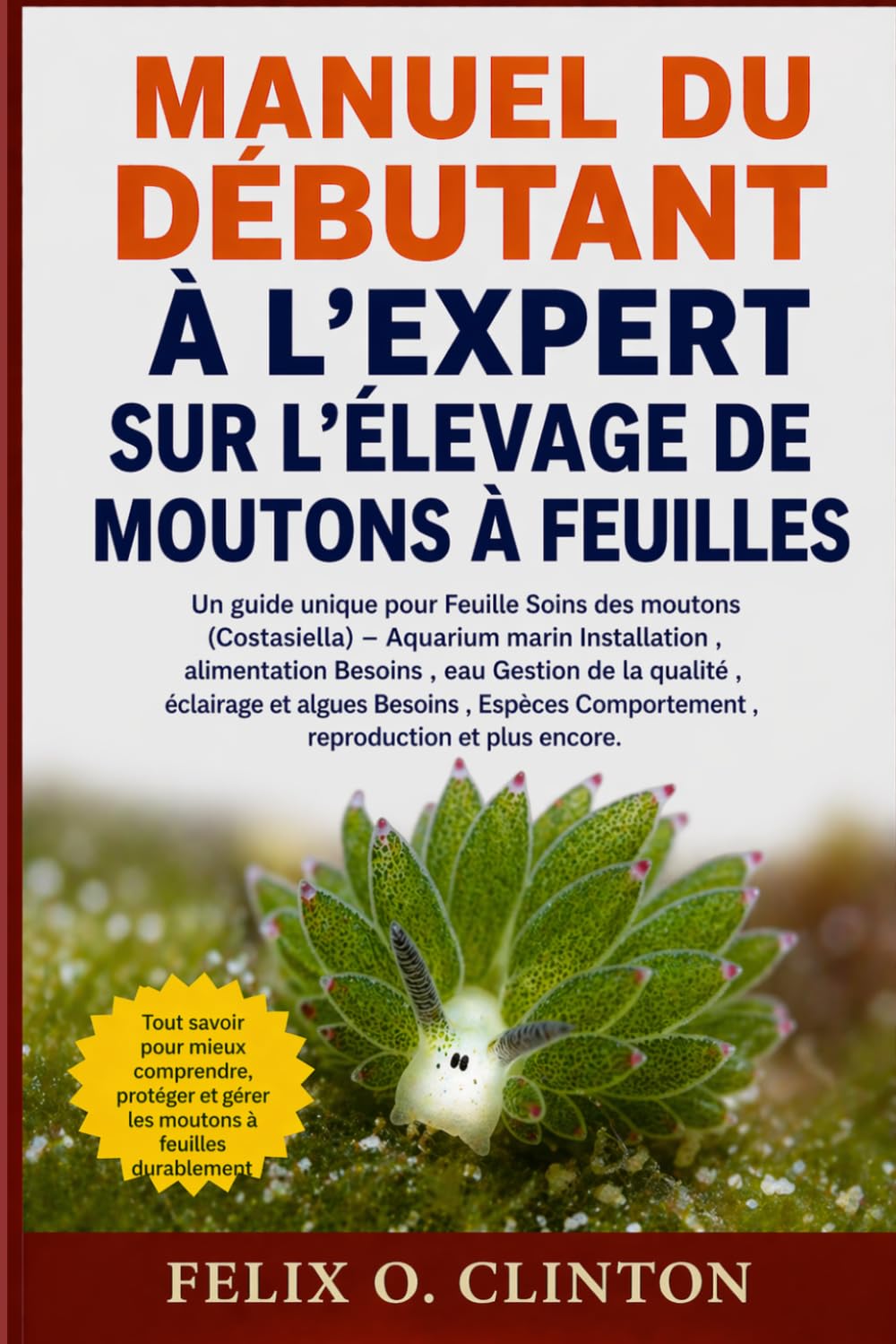 MANUEL DU DÉBUTANT À L'EXPERT SUR L'ÉLEVAGE DE MOUTONS À FEUILLES: Un guide unique pour Feuille Soins des moutons (Costasiella) – Aquarium marin ... éclairage et algues Besoins , Espèces Compor