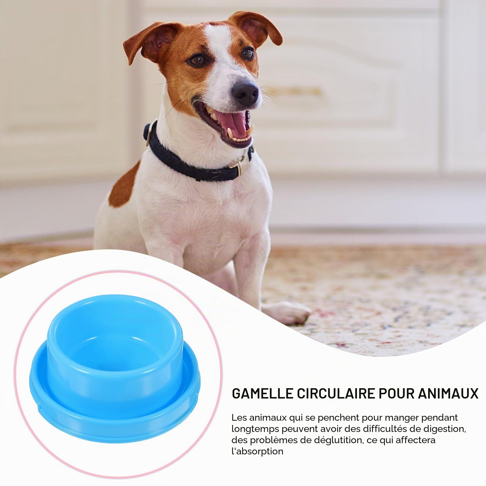 iplusmile Mangeoire Anti-Fourmis - 3 Pièces Gamelle pour Chiens et Chats avec Caoutchouc Antidérapant - Gamelle pour Chien Et Chat et Anti Débordement, 18 x 7cm