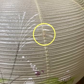 新品未使用　高級盆提灯　欅大11号絹二重絵　2個セット　ちょうちん Amazon.co.jp: 高級盆提灯 欅大11号絹二重絵 2個セット