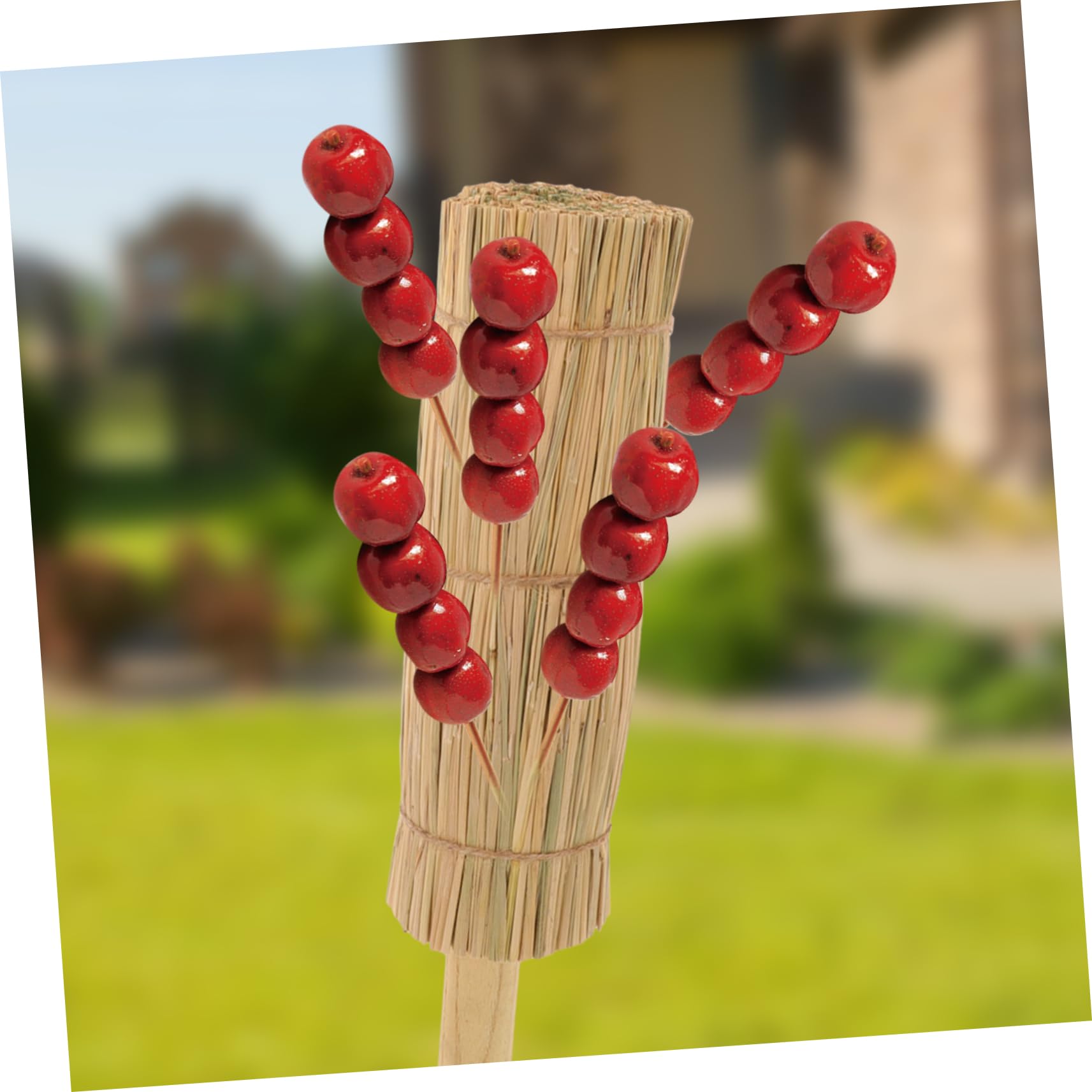 MAGICLULU Dekorativer Lutscherständer und Gras Großer Lutscherstielhalter für Cake Pops Stabil und Leicht zu Reinigen für Geburtstag und Dessert