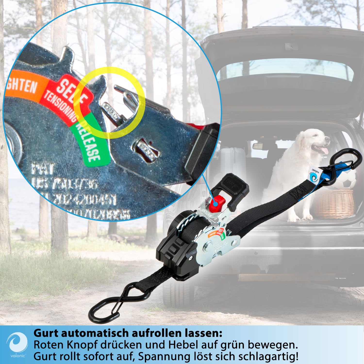 valonic Creta 2 m, Mini Spanngurte Automatik, für Kofferraum und Anhänger sowie Auto und Transport, 4er Set, 150 kg Zurrkraft, 19 mm, Spanngurt Selbstaufrollend, S-Haken mit Sicherung