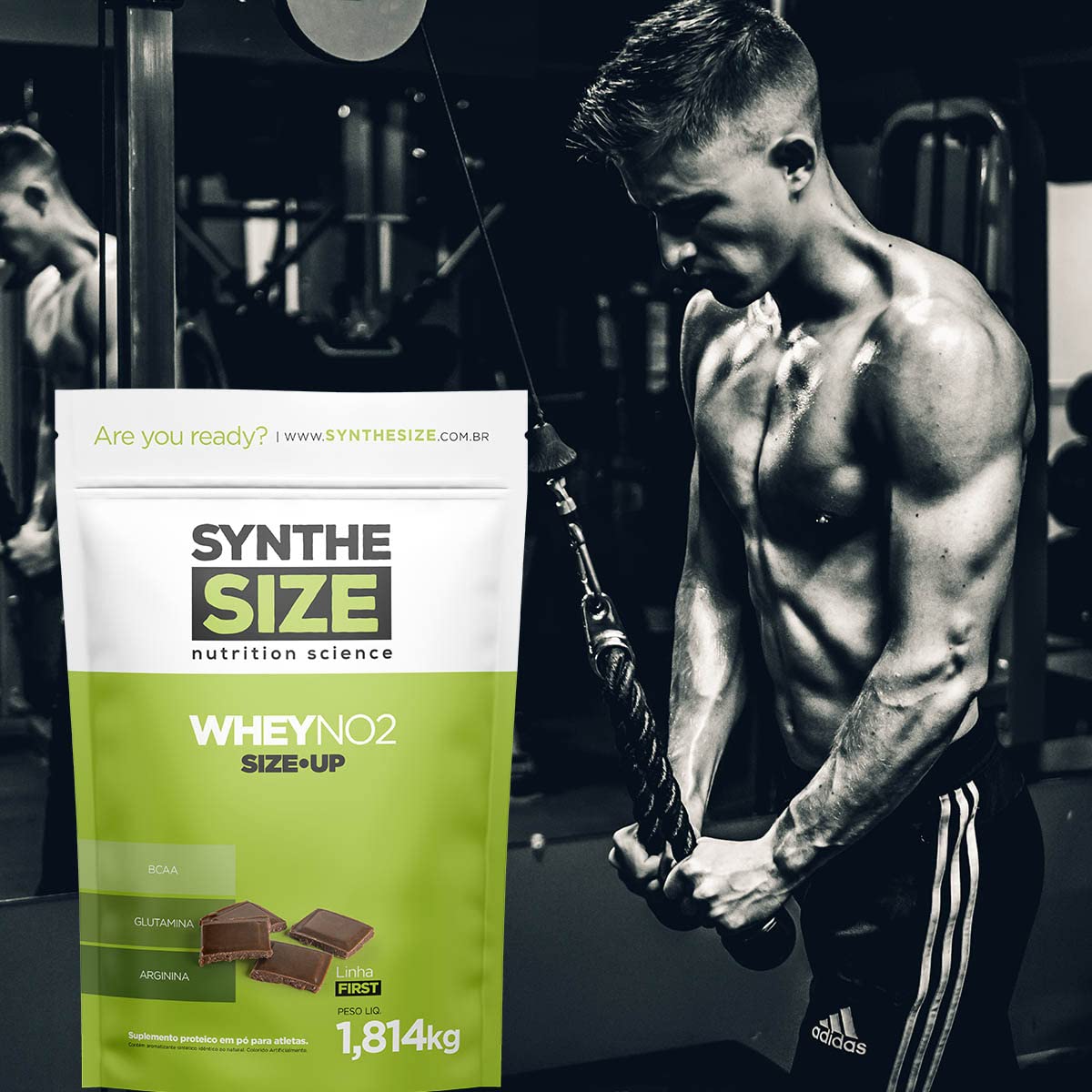 No2 Whey Protein - 1814g Refil Chocolate - Synthesize | Amazon.com.br
