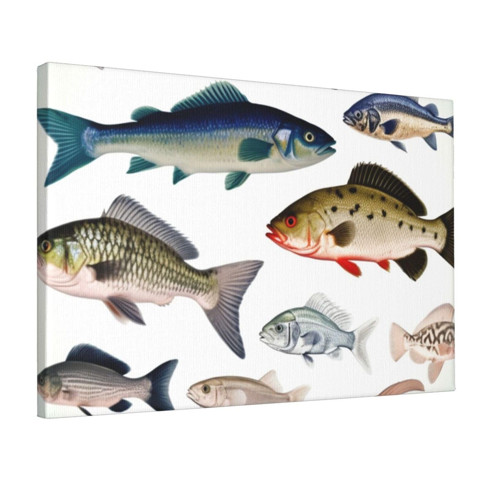 Fodpand Different Fish Unframed Canvas Wall Art,Modern Posters Print Wall Decor Canvas Oil Painting For Bedroom Living Room Bathroom Wall Hanging Artwork Ready To Hang 12"X18"
