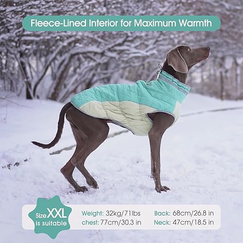 Miniatura 2 de FUAMEY Chaqueta de invierno para perro, abrigos para clima frío para perro, chaleco acolchado para perro, ropa cálida con cremallera, resistente al