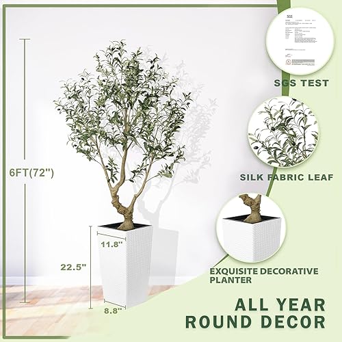 Miniatura 7 de Árbol de olivo sintético de 6 pies, olivos artificiales para interiores con maceta blanca alta y grande, olivo falso con tronco de madera natural y
