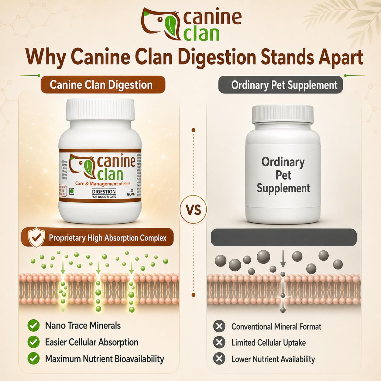 (Digestion) – for Dogs & Cats | Use in Vomiting, Constipation, Gas, Acidity, Indigestion, Appetite Loss | Supplement for Pets | 100 Grams — Amazon image 5