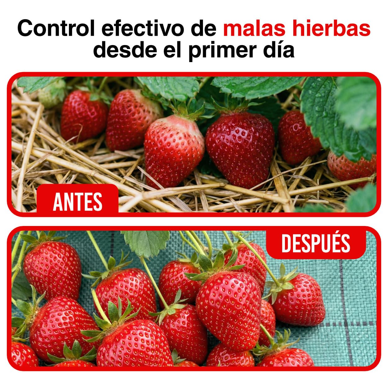 Malla Antihierbas Huerto 130g/m² – Alta Resistencia, Control Malas Hierbas Jardín, Huertos Urbanos Tela Antihierbas Polipropileno – Protección UV (Corte, 4x30M)