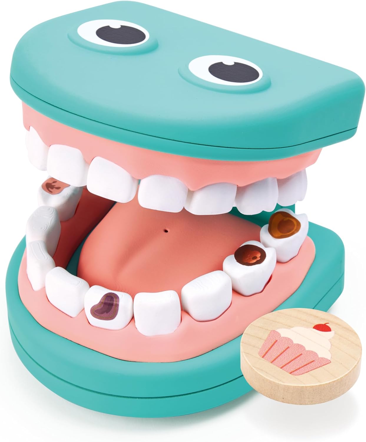 Dental model showing teeth with pretend cavities