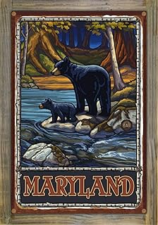 Northwest Art Mall Maryland Bears In Stream Rustic Metal Print on Reclaimed Barn Wood from Travel Artwork by Artist Paul A. Lanquist 11.5" x 17.5"