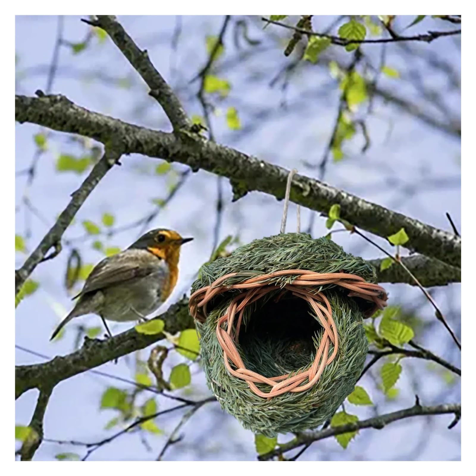 Nistkasten Transparentes Design Sittich Nymphensittich Vogelhaus Nest Sittich Nistkasten Vogelzubehör