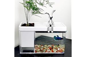 Versatile Desktop Aquarium: A Harmonious Union of Nature and Organization