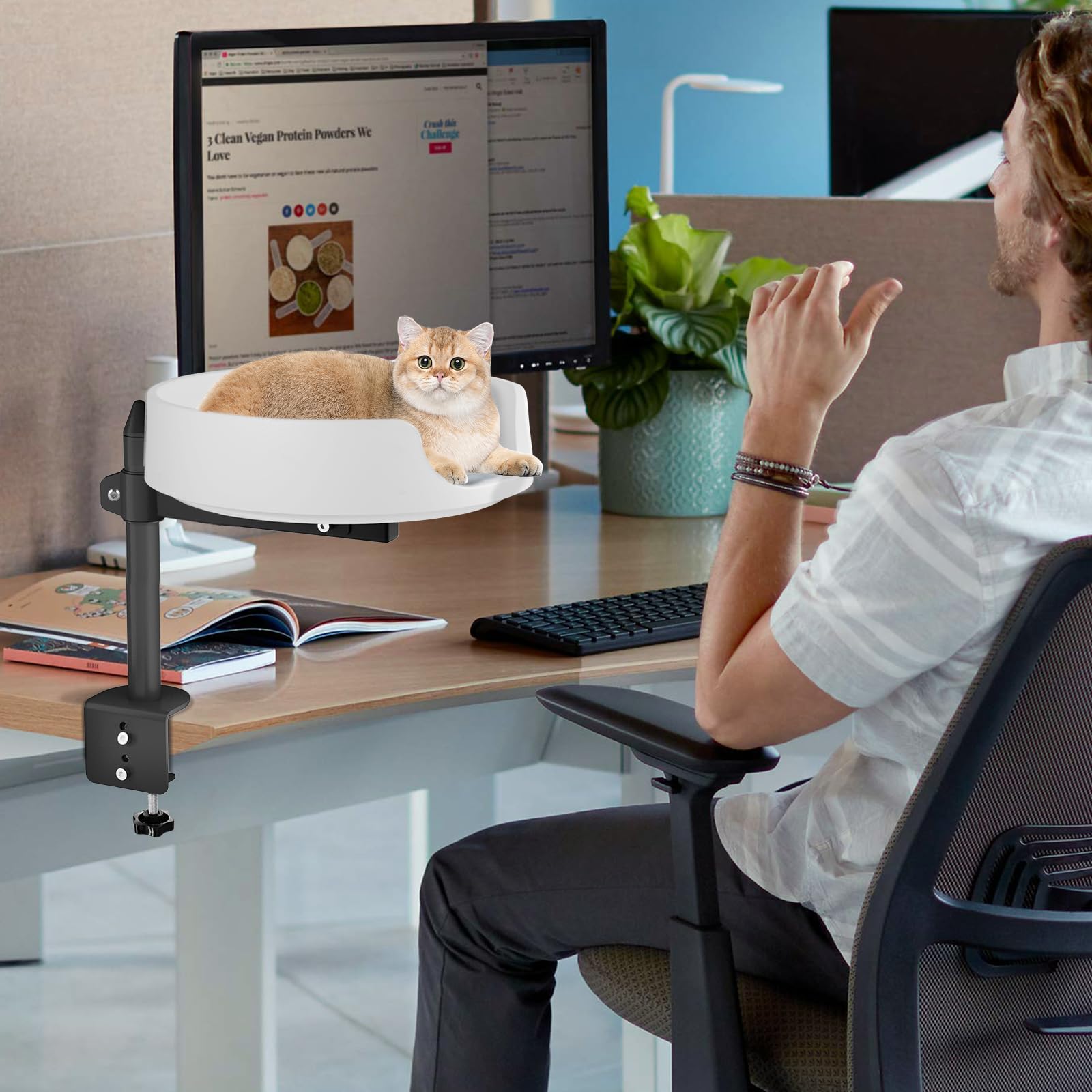 Katzenbett Für Schreibtisch - Höhenverstellbar Ohne Bohren