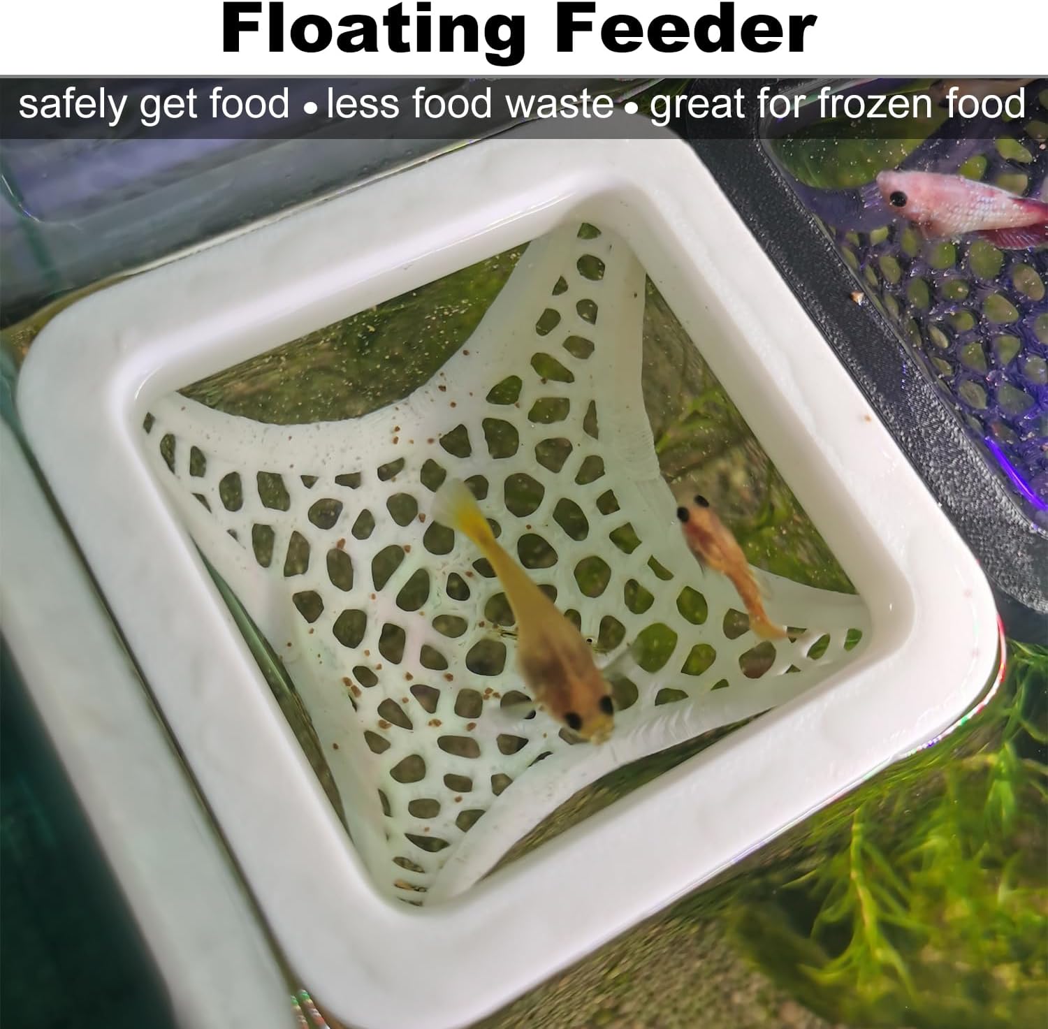 Floating Betta Hammock and Feeding Ring, Aquarium Beta Hideout, Cave, Bed image 3