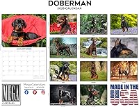 Vista 1528 de Razas de Perros 2017