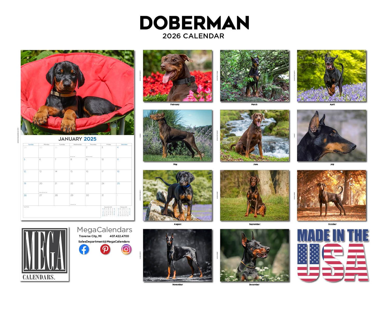 Kalendarz dobermana 2024 2025 - miesięczny kalendarz ścienny rasy psów - 30 x 45 cm otwarty - gruby papier bez przebarwień - prezent - akademicki planer nauczyciela kalendarz organizowanie i