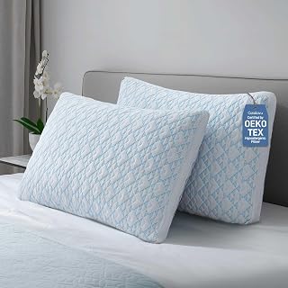 Cotelovo Adjustable Shredded Memory Foam Pillows - Soft Bamboo Viscose, Hypoallergenic Oeko-TEX Queen Size Set of 2 for All Sleepers