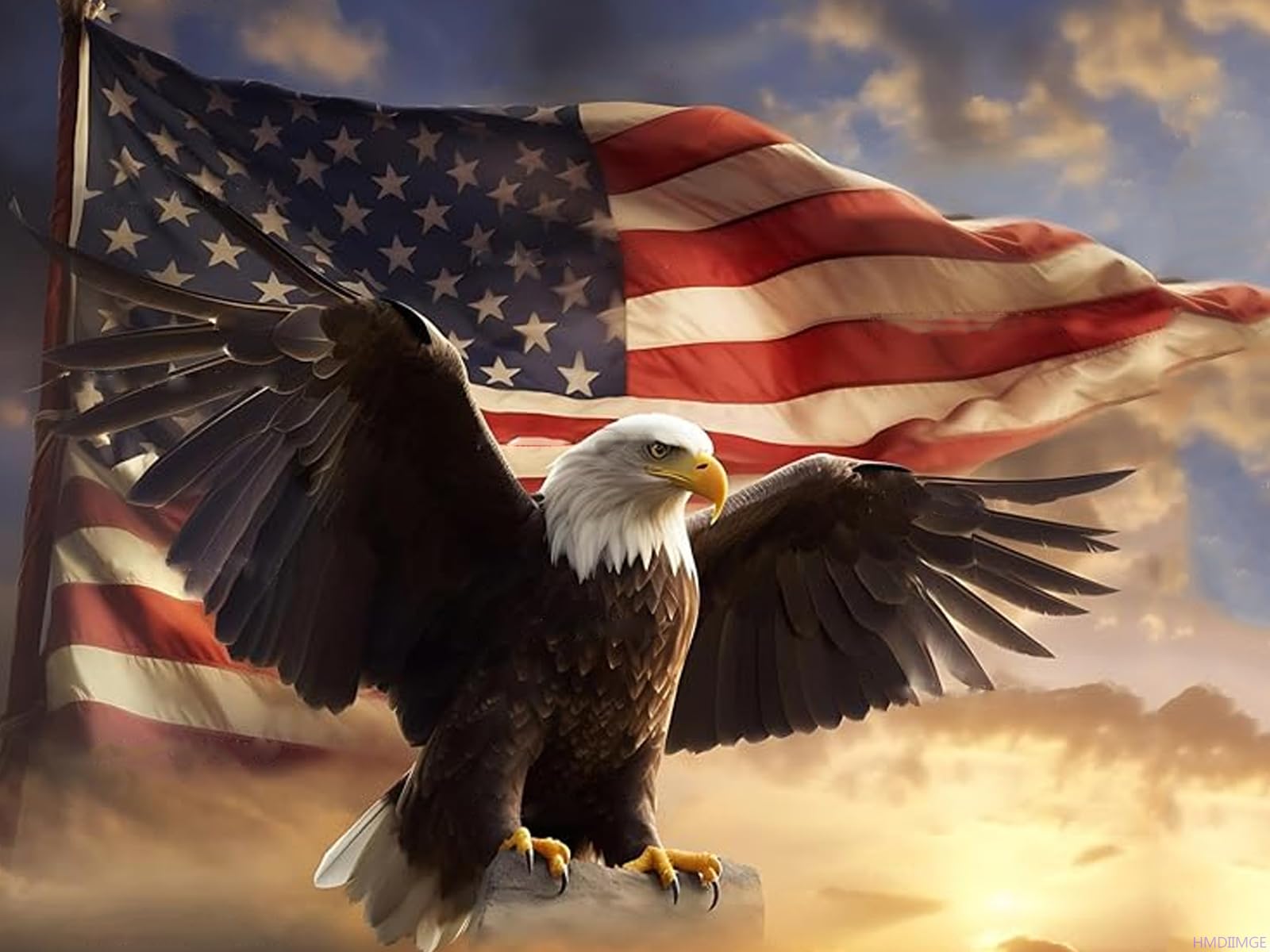 Amazon.com: HMDIIMGE 5D American Eagle Day Diamond Painting Kits