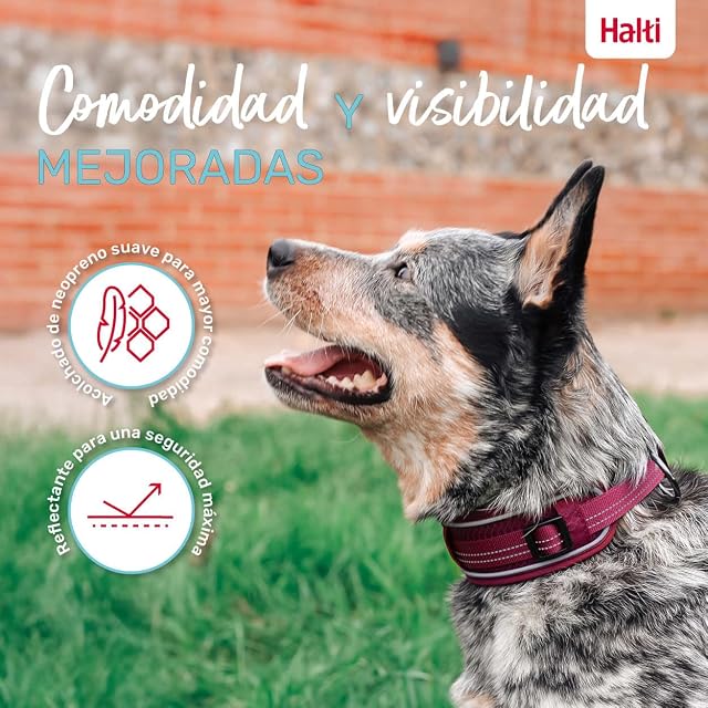 Foto 3 de 6 de Collar para Perros Halti Anatomía - Tamaño L, Magenta
