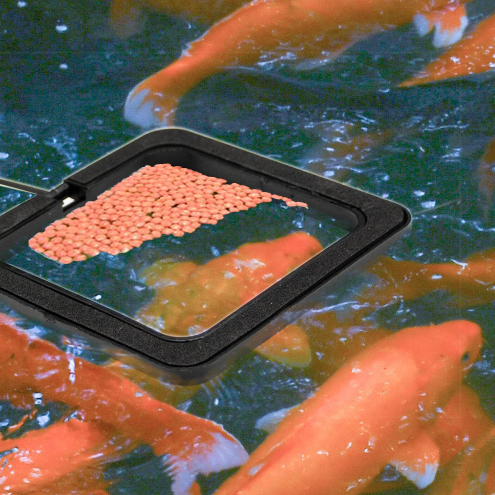 Mangiatoie quadrate nere per pesci d'acquario 10 cm con ventose