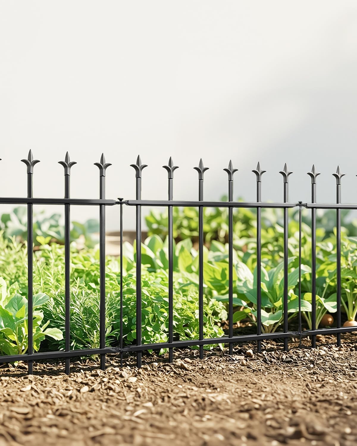 ARIFARO Metal Garden Fence 24" H x 10ft L 5 Panels, Rustproof Decorative Flower Bed Edging, No Digging Animal Barrier for Outdoor Yard, Landscape & Patio, Black