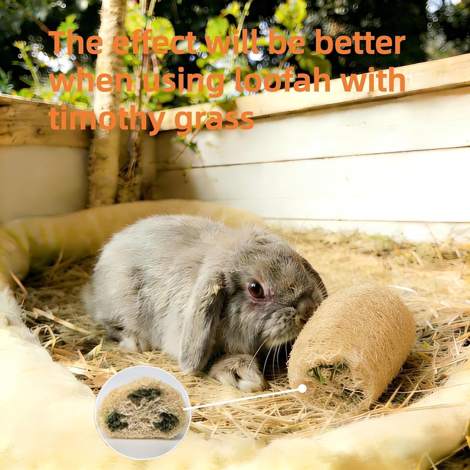 6Pcs Rabbit Chew Toys Loofah Guinea Pig Treats Bunny Enrichment Toys image 3