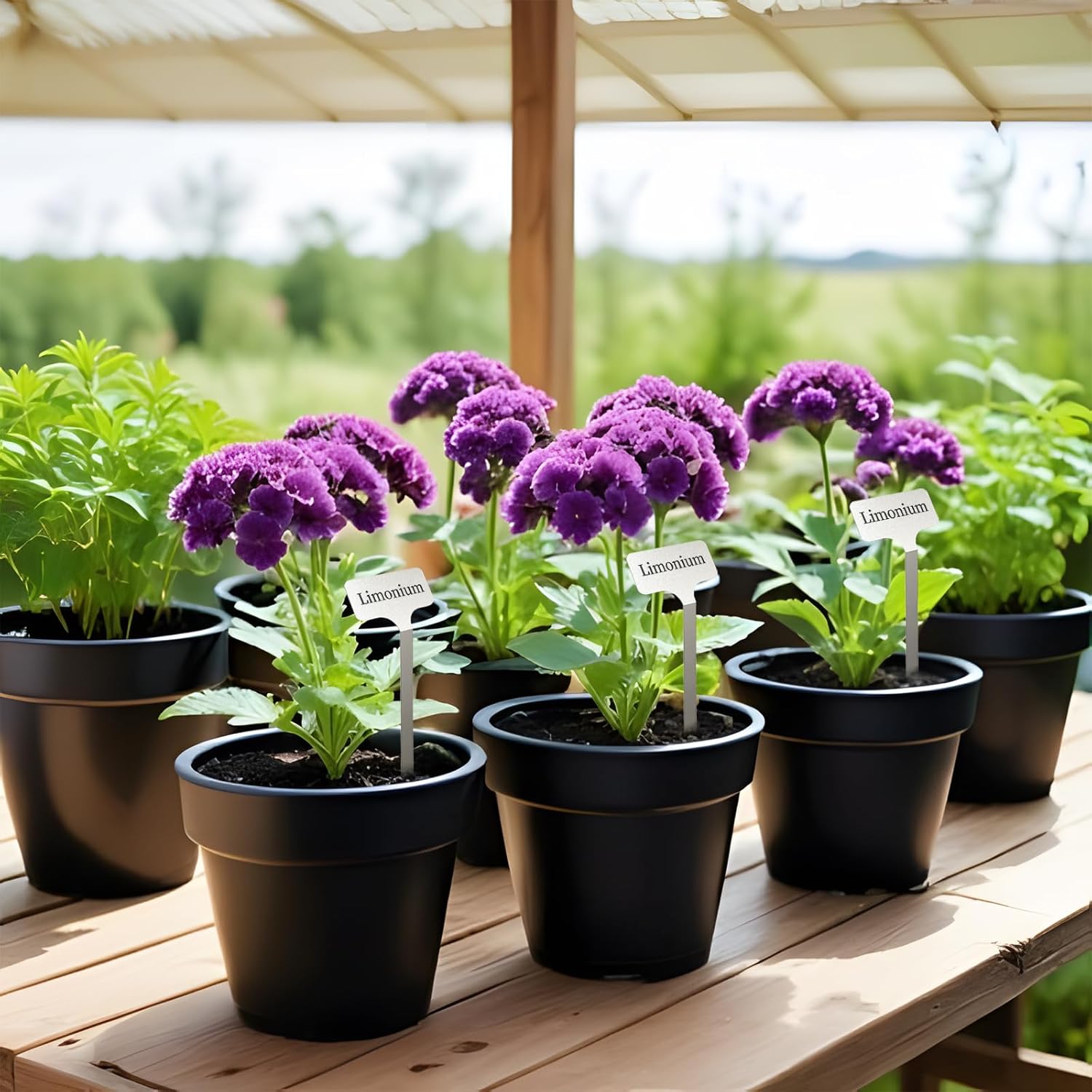 Stainless Steel Plant Labels, Metal Waterproof Plant Markers,Height 12.75 in, Label Area 2.5 in*1.25 in resuable Nursery Tags for Vegetables herb Flower Seed Green House- 20-Pack - Image 7