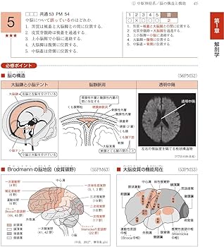 理学療法士・作業療法士国家試験必修ポイント 専門基礎分野 基礎医学