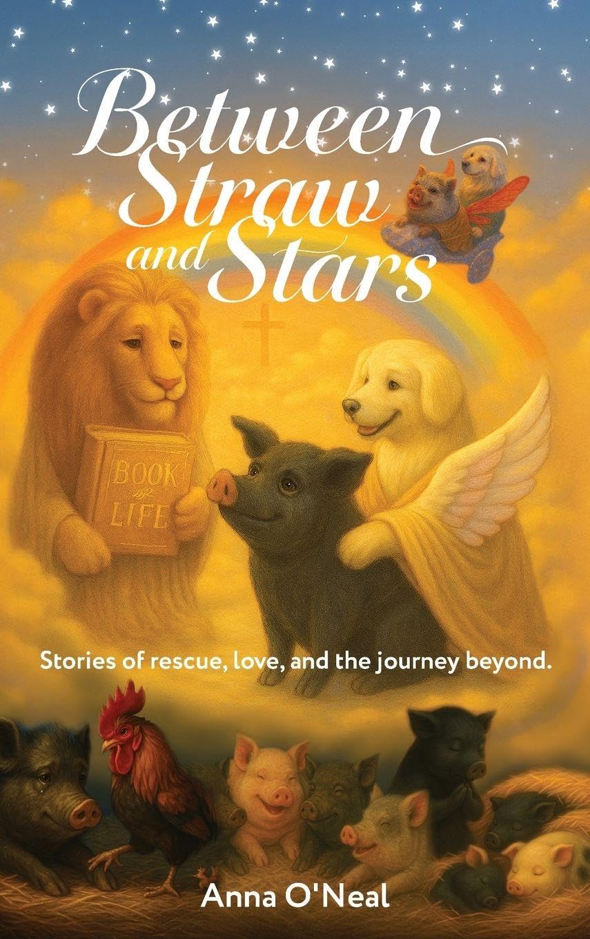 Between Straw and Stars: Stories of rescue, love, and the journey beyond.