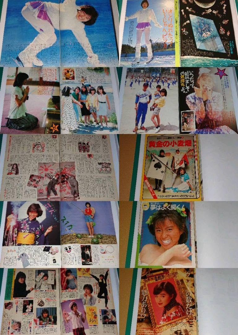 酒井法子　近代映画　1987年〜　レア　大量　切り抜き　ファイル　2冊　120P Amazon.co.jp: 酒井法子 1987年～1995年 大量 切り抜き ファイル