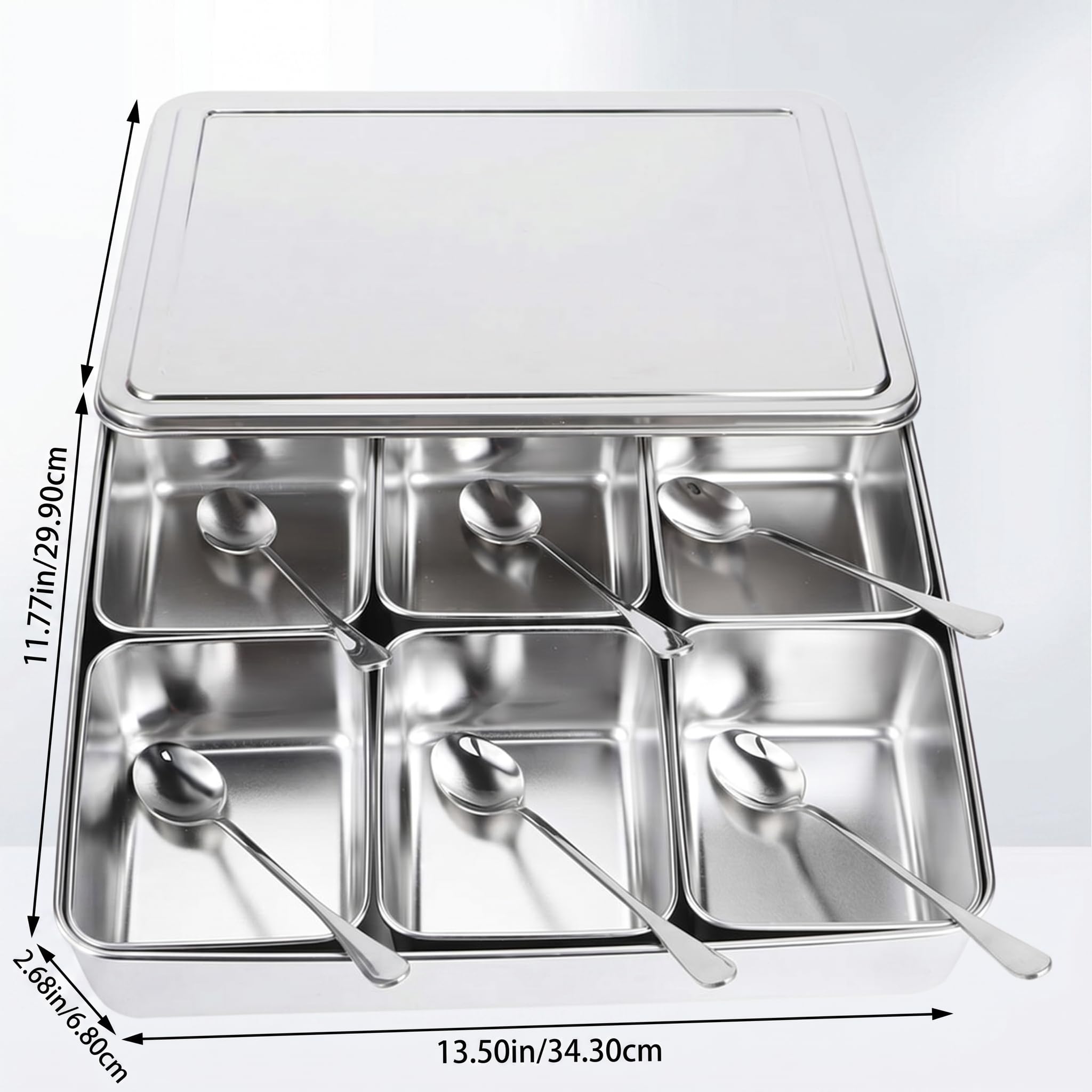 Haofy Scatola per condimenti in acciaio inox, contenitore per condimenti con 6 griglie, set di contenitori per spezie con cucchiai, utensili da
