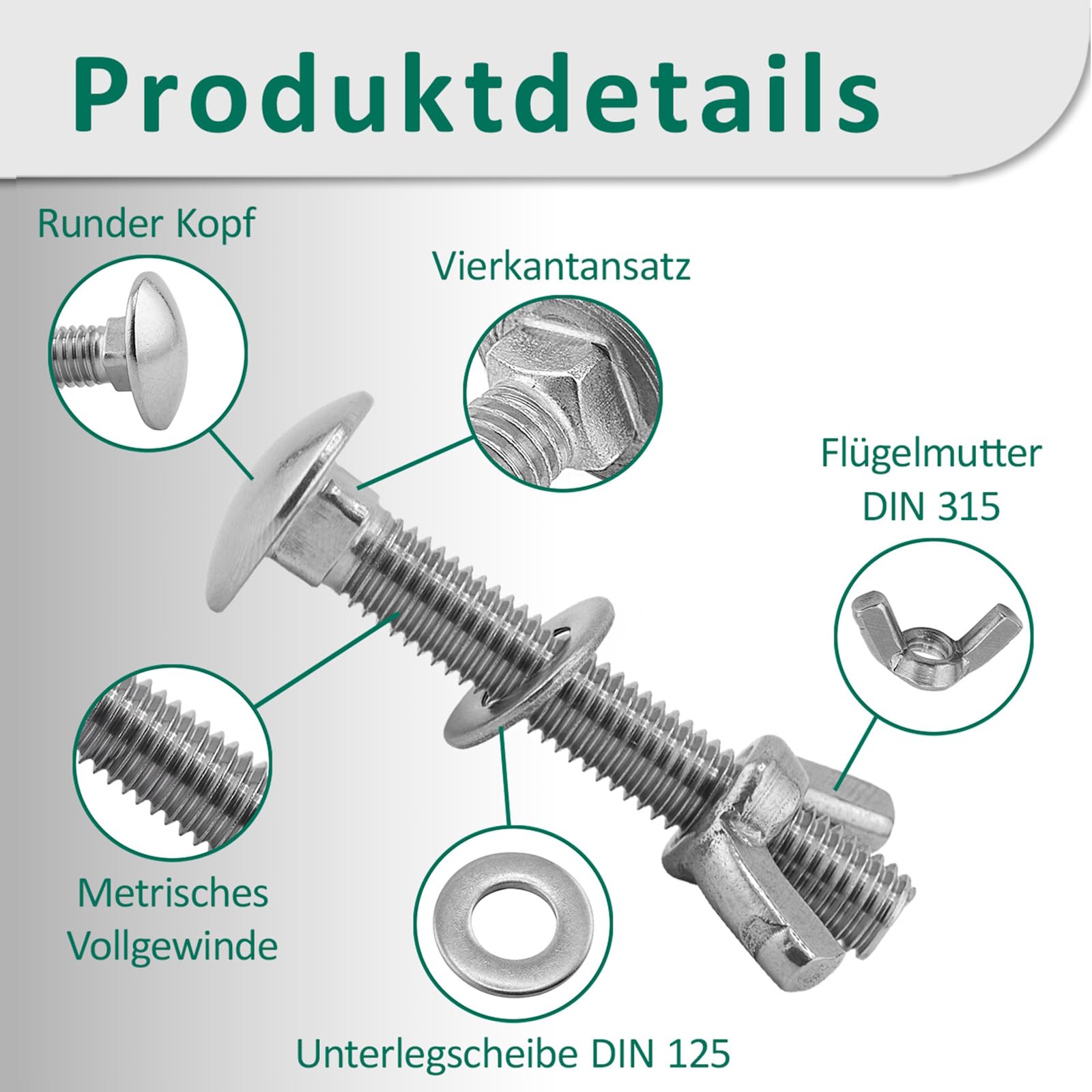 DSM – Viti a testa tonda M6 x 60 mm a norma DIN 603 – Dado ad alette M6 DIN 315 & rondella DIN 125 – Acciaio inox A2/V2A – Viti a testa tonda con attacco quadrato – Dado a farfalla – 2 pezzi