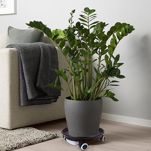 Miniatura 6 de Skelang Paquete de 2 bandejas para plantas de 13.3 pulgadas, paleta para plantas con cajón de agua, plataforma rodante para mover macetas, macetas,