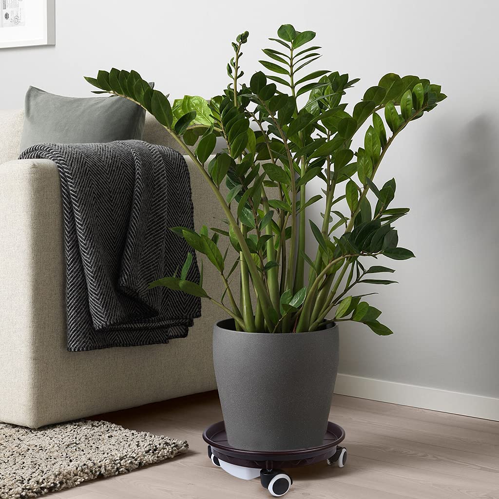 Skelang Lot de 2 caddies pour plantes de 34 cm, palette avec tiroir à eau, roulettes pour déplacer des pots de fleurs, jardinières, plantes en pot, capacité de charge 81,6 kg (marron)