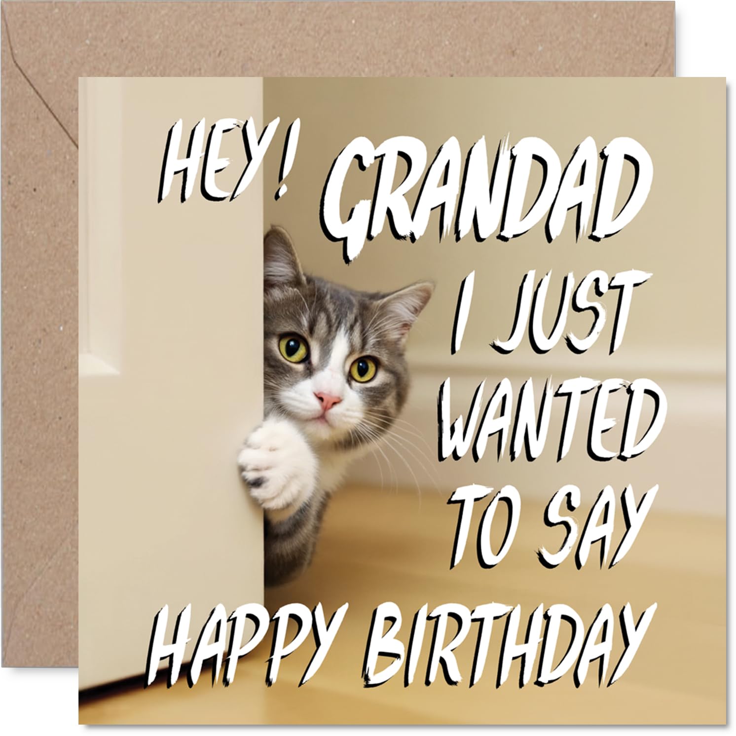 Grandad Birthday Card - Cute Cat Peekaboo - Happy Birthday Card for Grandad from Grandson Granddaughter, 145mm Lovable Kitty Bday Greeting Cards