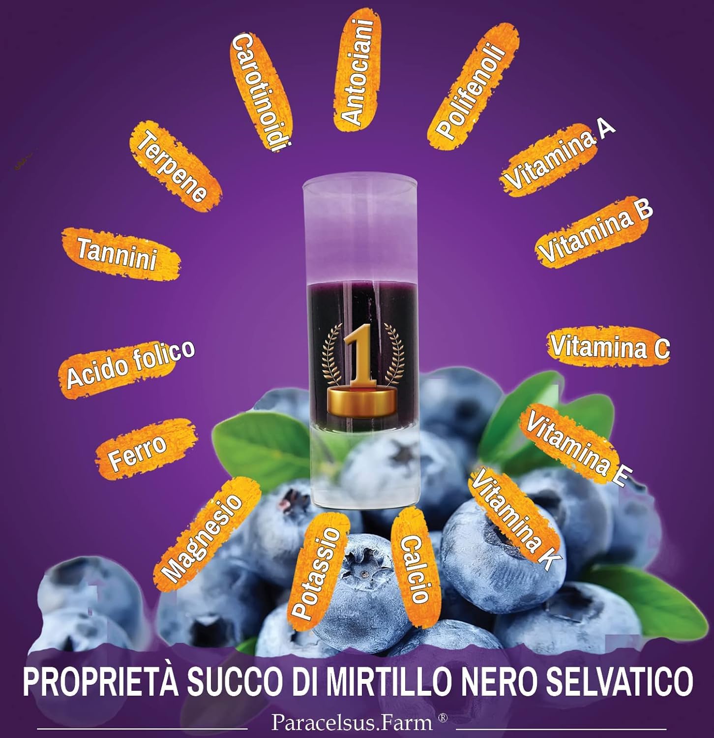 Succo di Mirtillo Nero Selvatico, 100% puro, denso, in Bag in Box da 2 Litri, senza aggiunta di acqua, zuccheri e conservanti - Origine Svedese - Paracelsus.Farm