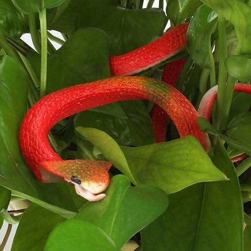 Miniatura 5 de Outee 22 serpientes de goma realistas de serpientes falsas de 3 a 39 pulgadas, juguetes de serpiente negra para accesorios de jardín para asustar