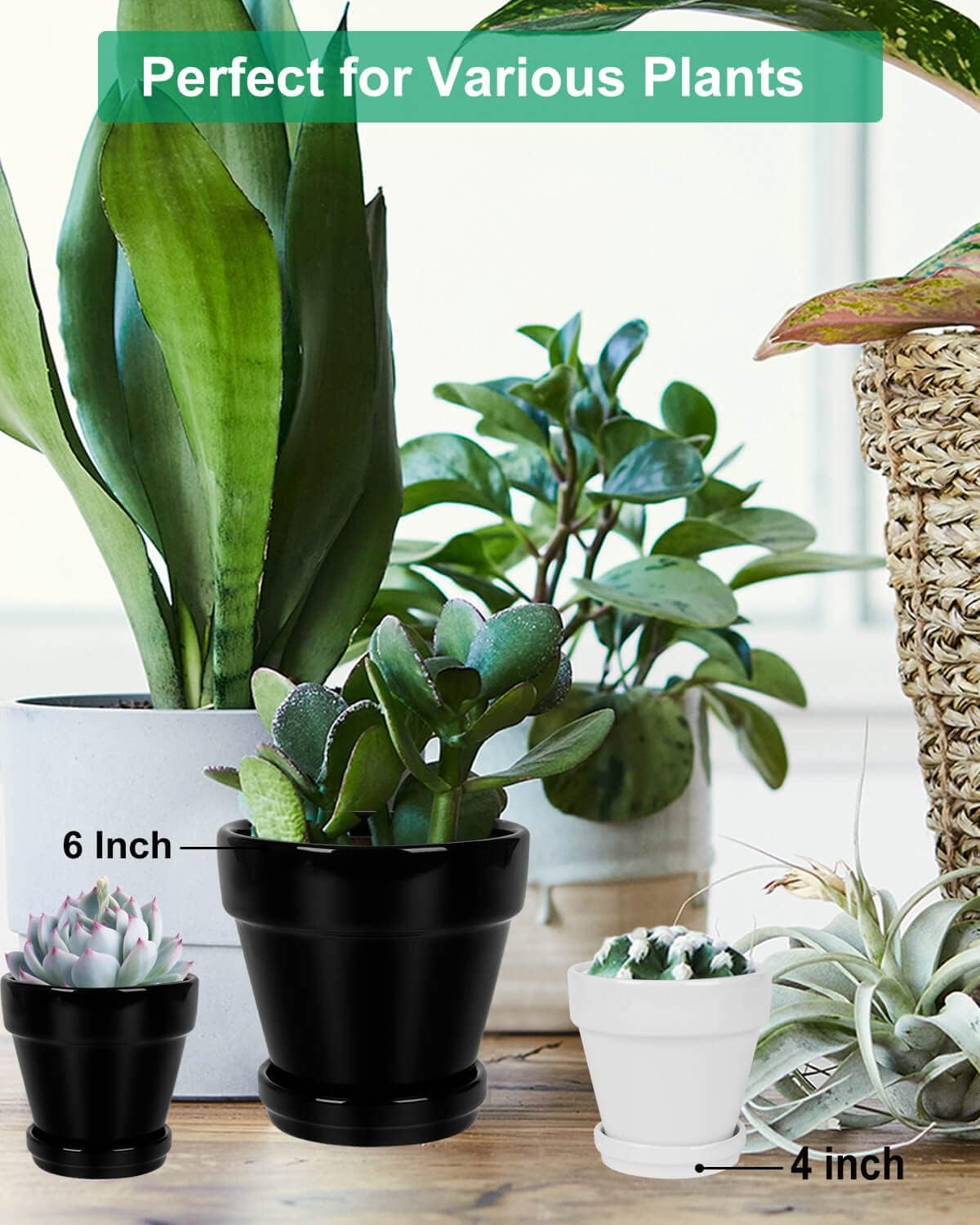 vensovo 4 Inch White Ceramic Pot for Plant with Saucer - 6 Pack Small Ceramic Plant Pot with Drainage Hole, Flower Pot with Tray, Succulent Pot for Indoor Outdoor Plant
