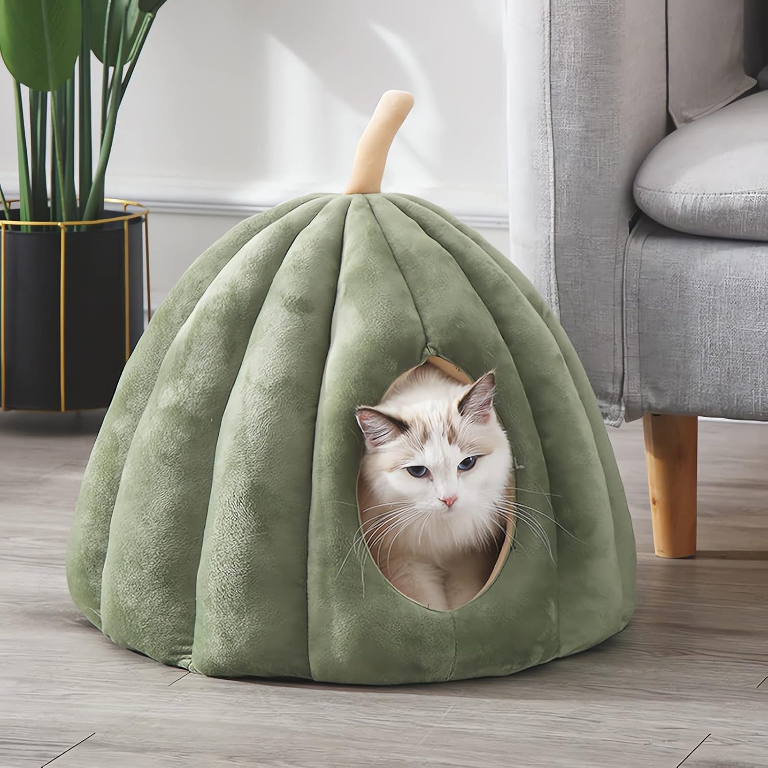 Cat Bed Cute Pumpkin Style Cat House Cat Cave Cat Beds for Indoor Cats Dog Bed Hut (M, Green)
