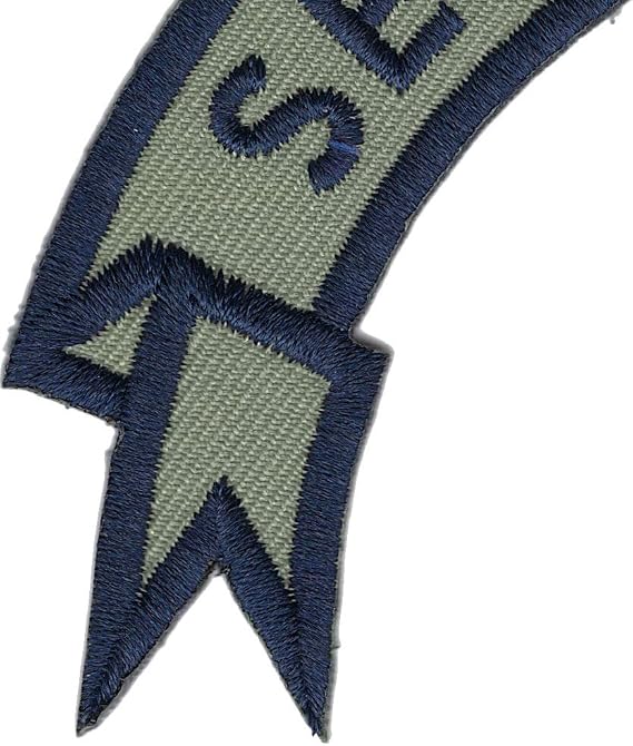 SERE Specialist Ribbon Collectible Novelty Patch