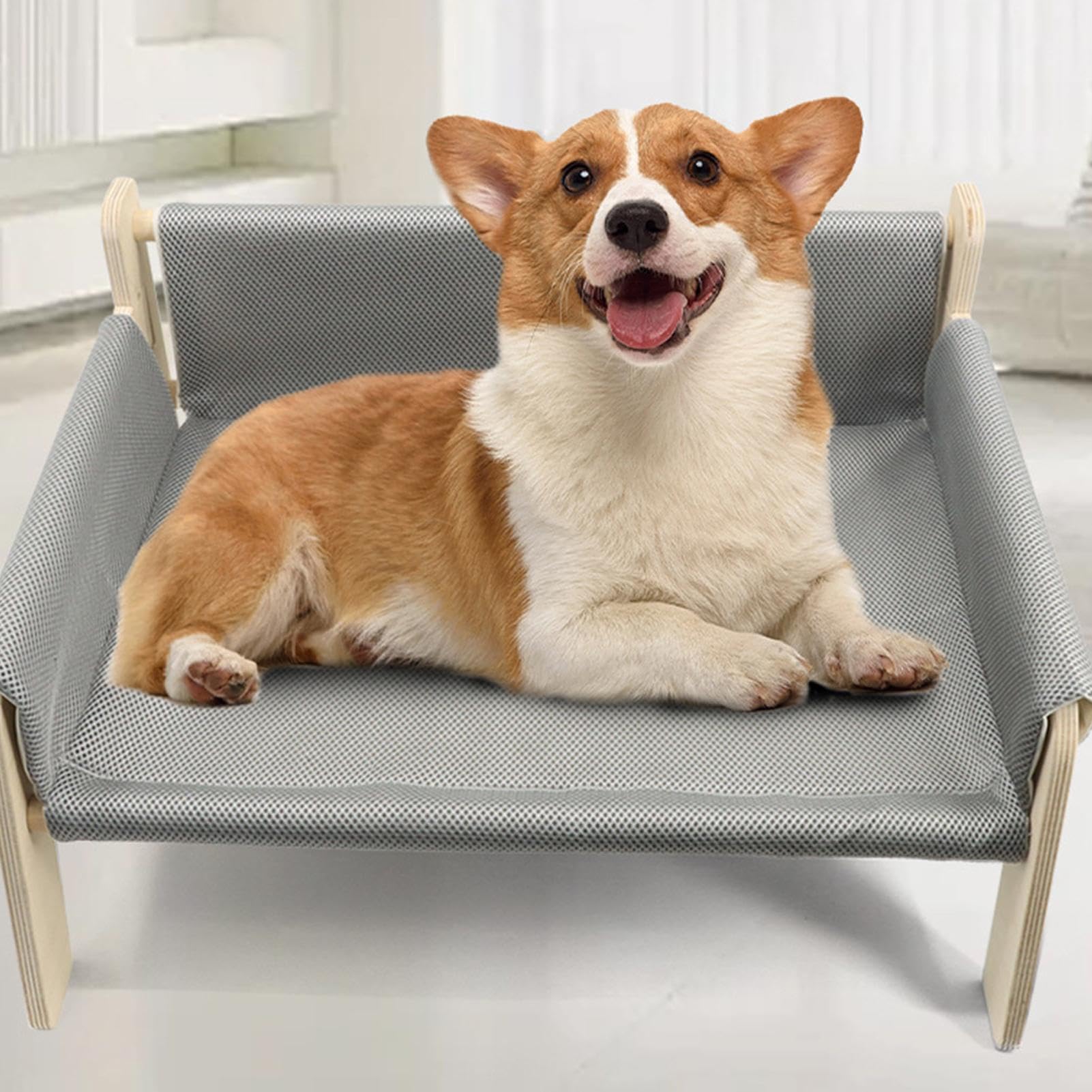 Sofá para Perros, Camas para Gatos y Perros medianos y pequeños | sofás para gatos, de madera natural, hipoalergénica, cómoda de sofá extraíble, sofás y sillas para perros, camas para p