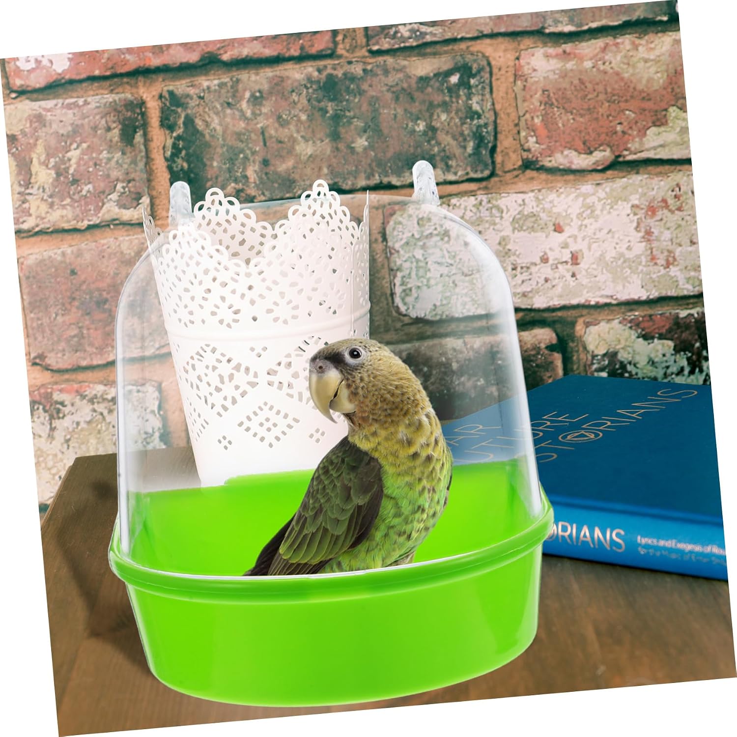 Homoyoyo Outdoor Bird Bath for Parrots Covered Bathtub Multi-cage Bird Bath Stand