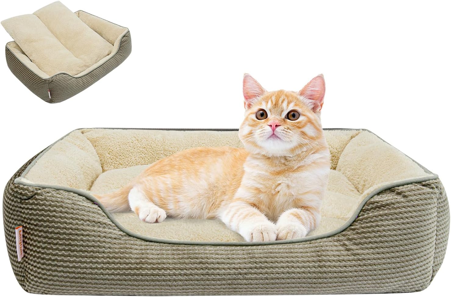 Miguel Washable Cat Beds for Indoor Cats with Reversible Removable
