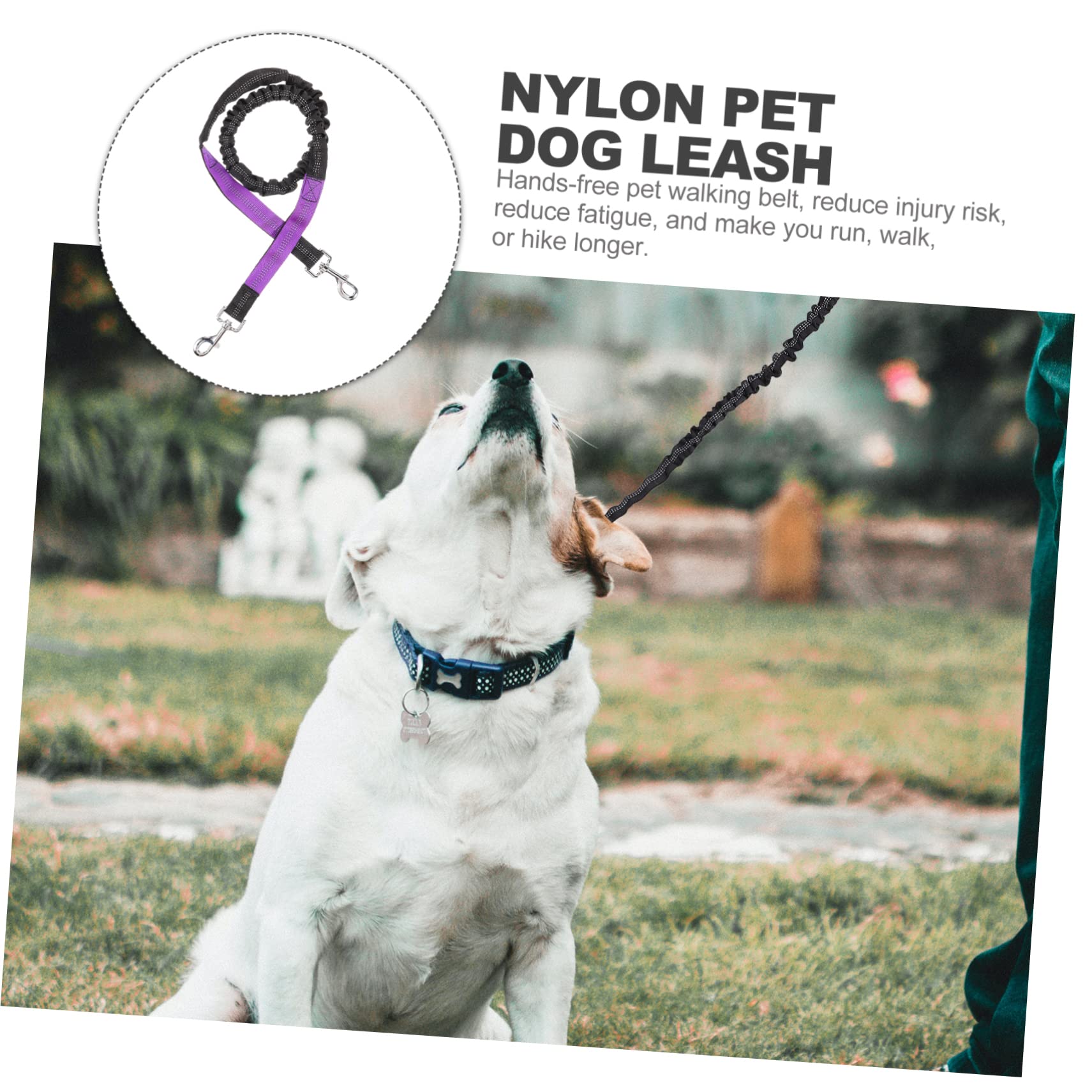 BESPORTBLE 2pezzi Guinzaglio Per Cani Con Cintura Elastico Guinzaglio Per Cani Da Corsa e Leggero e Resistente Nylon