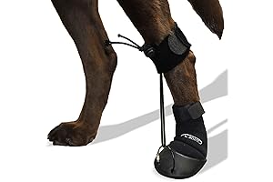 WALKABOUT™ Toe'sUP No Knuckling Boot Brace Dog Shoe