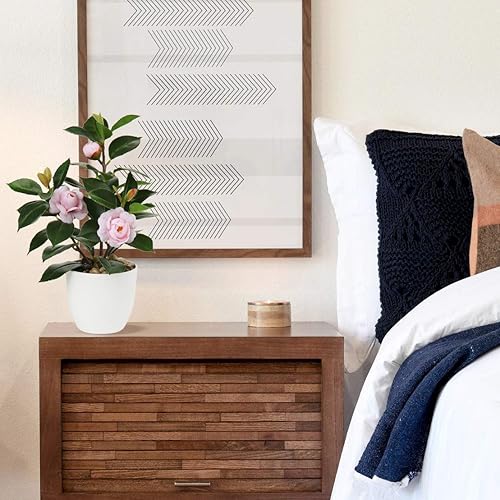 Miniatura 10 de Briful 2 plantas artificiales en maceta de Alocasia, Begonia Calathea, mini plantas falsas en maceta de plástico, pequeñas plantas de imitación de