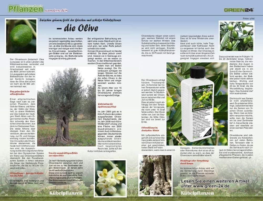 GREEN24 Nawóz do oliwek Olea XL 1 litr NPK, do roślin w grządkach i donicach
