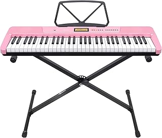 Karrera 61 Key Electronic Keyboard Touch Velocity Sensitivity Full Size Keys Piano with LCD, Stand, 256 Timbres and Rhythm...