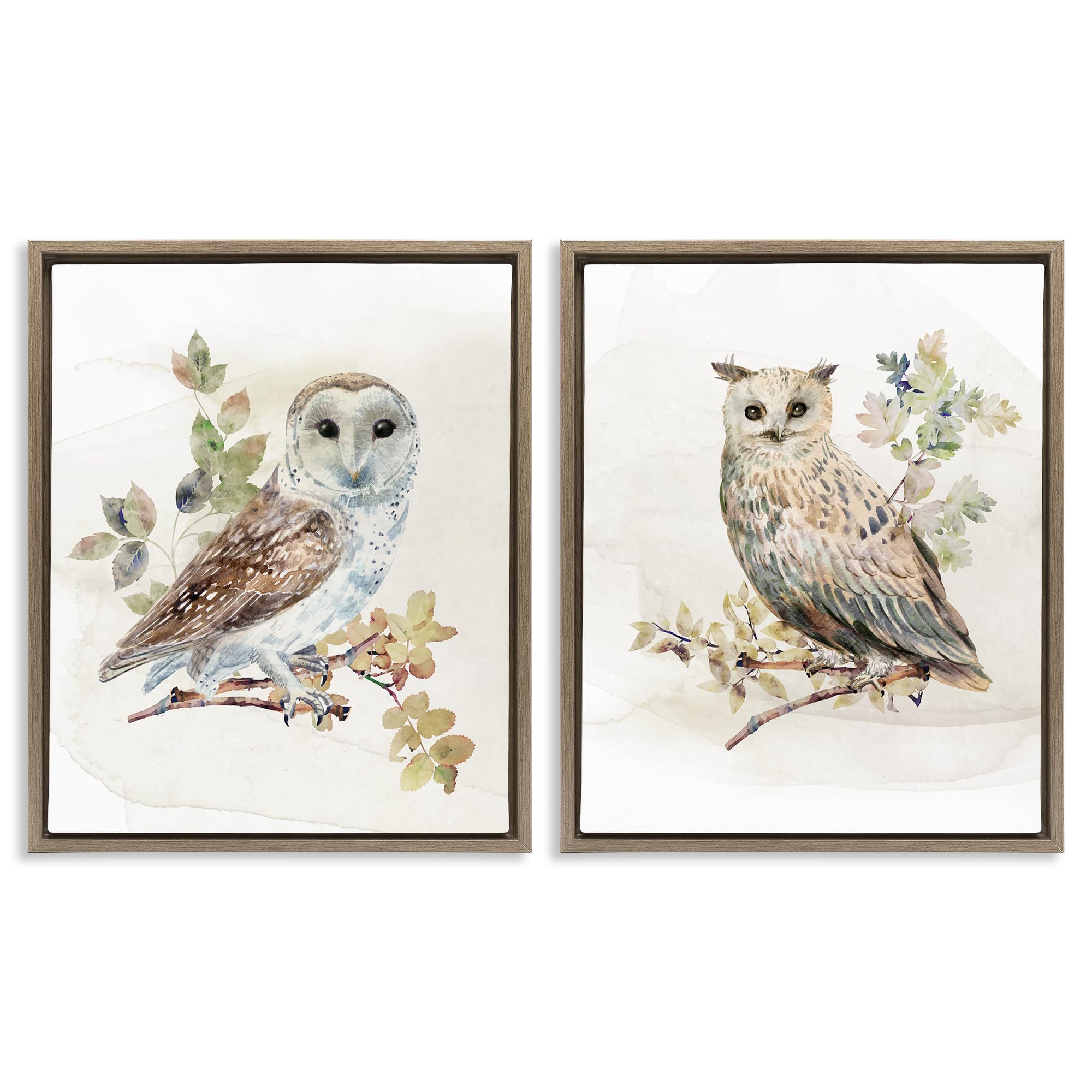 Stupell Industries Montalcino Elm (Textured) 'Owls Perched In Foliage', 2Pc Floating Frame Art Set 2, Brown, 25 X 31 Inches, Easy To Hang And Sturdy, Made In Usa, By Cad Designs