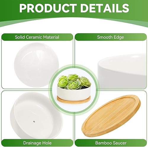 Miniatura 4 de ZOUTOG Macetas de cerámica para suculentas de 6 pulgadas con orificio de drenaje y bandeja de bambú, paquete de 2 macetas redondas blancas